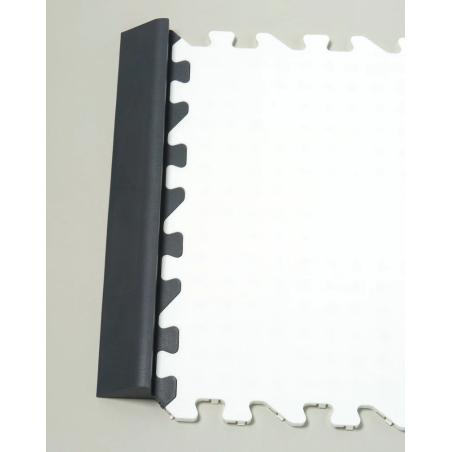 WINNWELL hokeja plākšņu mala ar ripas aiztures sistēmu