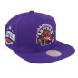 MITCHELL & NESS Toronto Raptors кепка HHSS5133